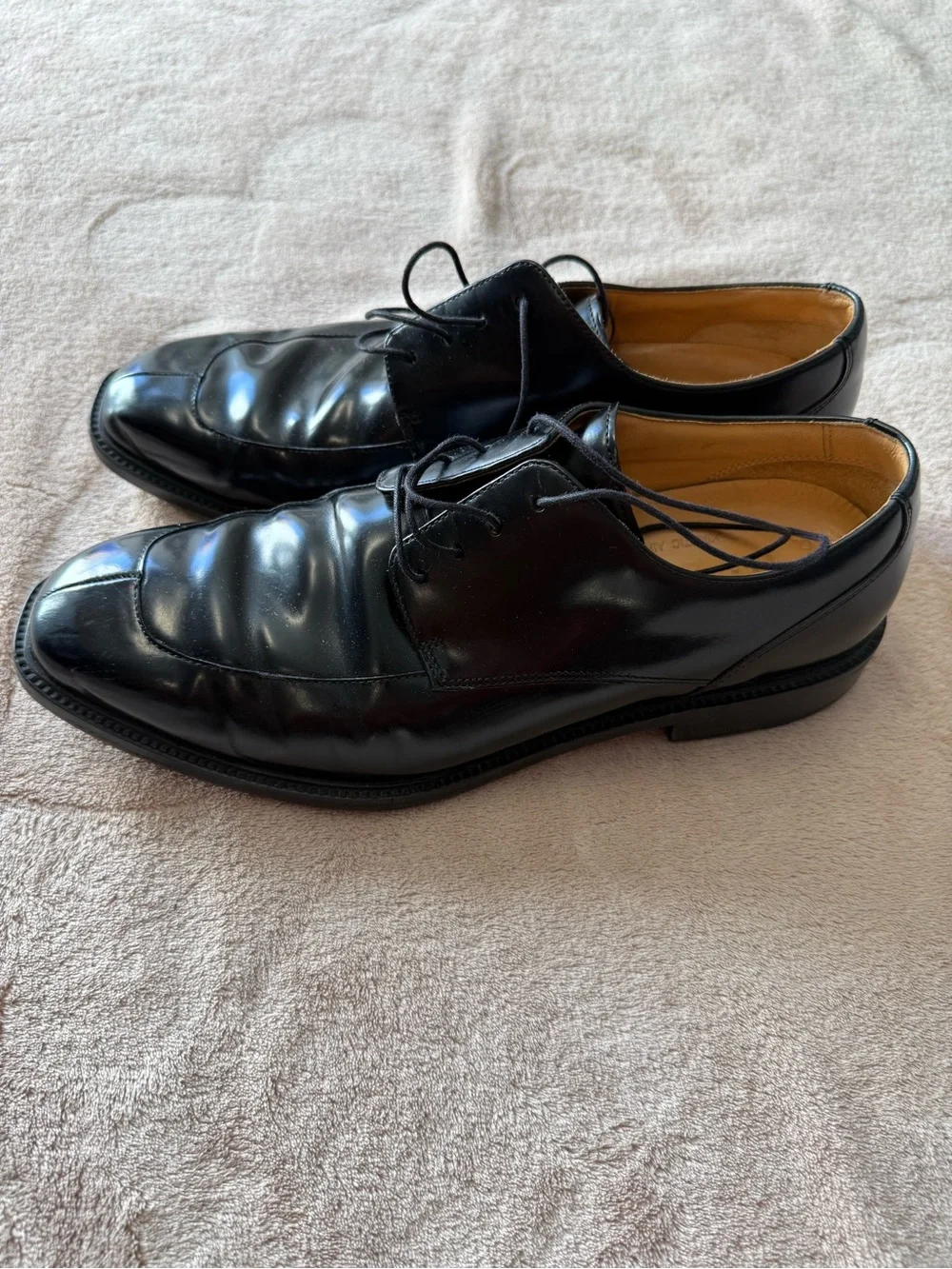 Rockport shiny black